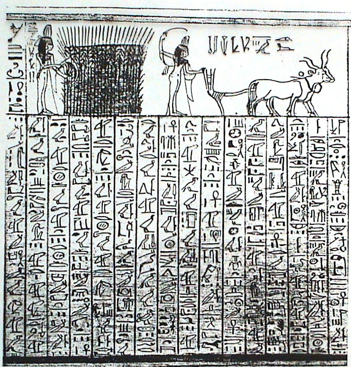Egyptian hieroglyphs / mathematics